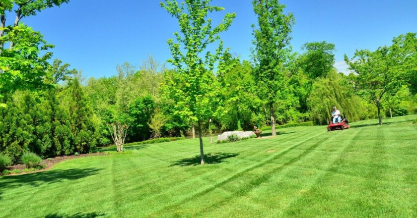 Why Investing in Commercial Lawn Care Services Yields a High Return on Investment